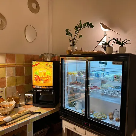 法兰西酒店 波尔多